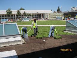 Green up the Roof! - DIADEM USA, Inc.