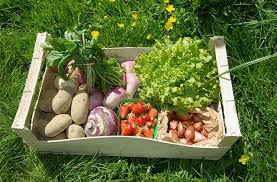 Cueillette Fruits Et Legumes Biologique Rennes Les Jardins Du Chataignier En 2020 Magasin Fruits Et Legumes Fruits Et Legumes Fruits Et Legumes Bio