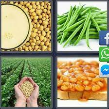 Nos encanta poder ayudarte… cuatro fotos una palabra el juego que divierte a millones y millones de personas. 4 Fotos 1 Palabra Porotos Maiz Pan Frijoles Soluciones 6 Letras 4 Fotos 1 Palabra Respuestas Actualizado 2020