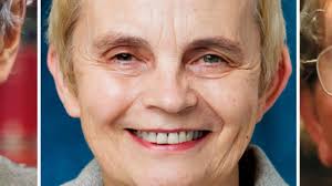 University of Hong Kong council never stooped so low, says leading  international scholar