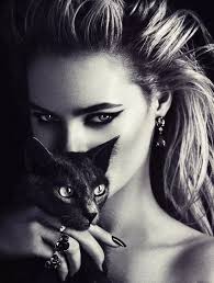 خلفيات قطط كيوت 2019 صور قطط للبنات رائعة 2020 فوتوجرافر Cat Photography Cats Black Cat
