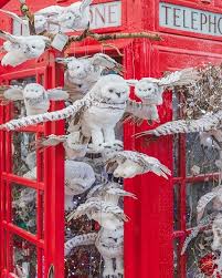 Win A 20 Perrywood Gift Voucher We Hope You Agree That Our Visual Merchandising Team Has Created A Fantastic Win Photo Competition Instagram Winter Wonderland
