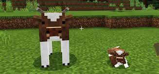 Cuter Vanilla Cows Mooshrrooms Minecraft Pe Mods Addons
