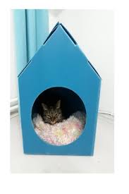 Kedi Evi Ve Kedi Yatagi Fiyatlari Trendyol