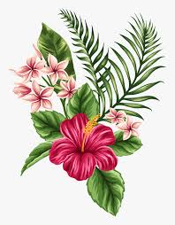 See more ideas about hawaiian flower tattoos, flower tattoo, hawaiian tattoo. Tropicheskie Flower Tattoos Dibujos De Flores Flores Hibiscus Hawaiian Flower Drawing Hd Png Download Kindpng