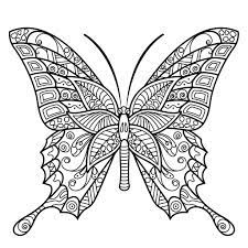 Pin On Butterfly Coloring Pages