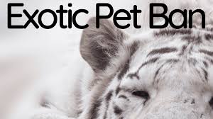 We carry a wide variety of pet care products such as food, treats, toys, leashes. The Ohio Exotic Pet Ban What Animals Are Now Illegal As Pets Pethelpful