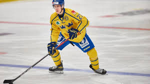 Johan kjell garpenlöv (born 21 march 1968) is a swedish former ice hockey left winger. Zhbwkiodpcchwm