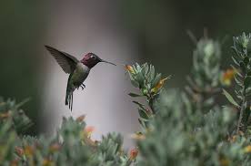 Marlo Reyes Photography