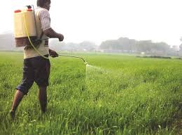 Verb without object languishing to undergo neglect or experience prolonged inactivity; Can Rising Food Inflation Help India S Languishing Rural Economy Business Standard News