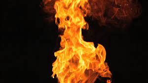 Hd 00:26 igniting fire isolated on black background. Slow Motion Fire Blaze From The Bottom Stock Video Footage Youtube