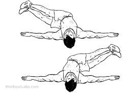Windshield Wipers Exercise Guide Workoutlabs Exercise To Reduce Waist Circuit Workout Windshield Wiper Exercise