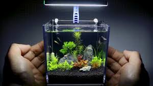 Maybe you would like to learn more about one of these? Diyer Makes Mini Aquarium With Lighting Filtration And Co2 System
