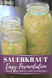 This Homemade Sauerkraut Recipe Is So Easy To Put Together It S A Great Way To Delve Into Fermentat Homemade Sauerkraut Saurkraut Recipes Fermentation Recipes
