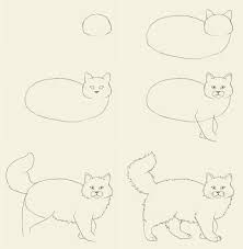 How To Draw A Cat Cats Art Drawing Cat Drawing Animal Drawings