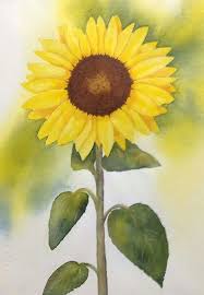 Pin By Marina Ponomareva On Love Watercolors Watercolor Sunflower Sunflower Art Loose Watercolor Flowers