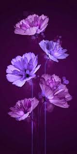 Hipwallpaper is considered to be one of the most powerful curated wallpaper community online. Super Flowers Background Tumblr Purple Ideas Purple Flowers Wallpaper Flower Wallpaper Flower Iphone Wallpaper