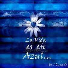 Frases Azul Dorina - Home | Facebook