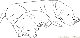 The combo library contains pages of yellow color combinations (a.k.a, color schemes and color palettes) for you to choose from. Dog Sleeping With Mother Coloring Page For Kids Free Dog Printable Coloring Pages Online For Kids Coloringpages101 Com Coloring Pages For Kids