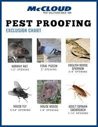 Pest exclusion is a way to prevent buildings from dealing with pest infestation while maintaining a healthy atmosphere for employees, and not exposing them to harsh chemicals and pesticides. Pest Proofing Your Building Inside And Out Mccloud Pest Solutions