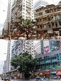 灣仔天樂里 摩理臣山道及灣仔道交界 1980 s british hong kong hong kong history pictures