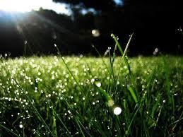 Includes midi and pdf downloads. Petua Menjaga Kulit Wajah Rempah Haji Halim