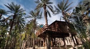 Résultat de recherche d'images pour "tozeur oasis"