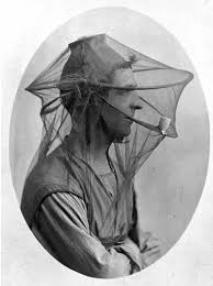 Image result for bee keeping hat