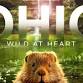 Ohio: Wild at Heart Movie Screening event in Huron, OH