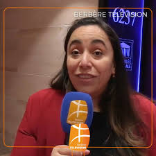 Berbère Télévision