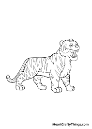 Another free animals for beginners step by step drawing video tutorial. Tiger Drawing How To Draw A Tiger Step By Step
