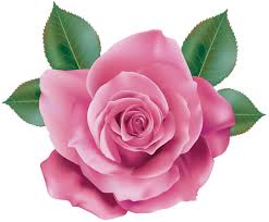 Pink Rose Transparent Png Clip Art Rose Clipart Digital Flowers Flower Art