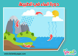 بحث عن الماء خطوات عمل بحث مدرسي لطلاب الإبتدائي بالعربي نتعلم