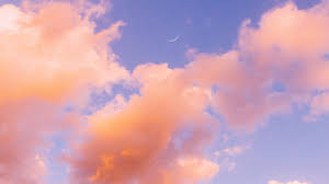 Download Wallpaper 2560x1440 Clouds Sky Porous Orange Widescreen 16 9 Hd Background In 2020 Aesthetic Desktop Wallpaper 2048x1152 Wallpapers Aesthetic Backgrounds