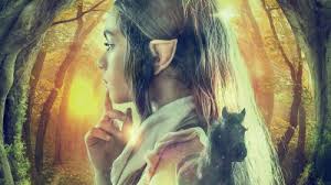 Marco Renda filmografia