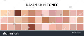 Skin Tone Color Chart Human Skin Stock Vector Royalty Free