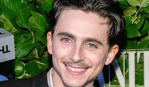 Timothée Chalamet sang Dylan i filmen