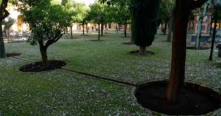 Maybe you would like to learn more about one of these? Short Life Quotes The Patio De Los Naranjos Cordoba Spain