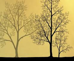 Discover hundreds of ways to save on your favorite products. 36 Tree Wall Stencils Ideas Stencils Wall Stencils Tree Wall