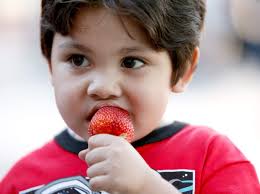 Santa Rosa's Wednesday Night Market kicks off at reunified Old Courthouse  Square