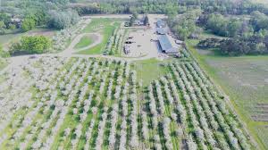 Maybe you would like to learn more about one of these? Sekapp Orchard