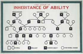 chart showing inheritance of ability eugenics education