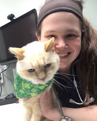 Evendale Blue Ash Pet...