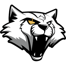 Dignitas � uma busca de uma palavra. Report Psalm Out Of Dignitas Valorant News Thespike Gg