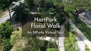 There are some plants around singapore with lovely names like the love plant, love vine, sweetheart hoya, purple heart, and more! Nparks