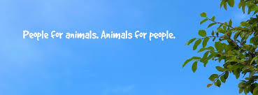 See actions taken by the people who manage and post content. Hawaiian Humane Society Home Facebook