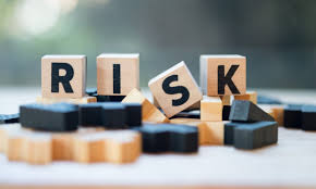Image result for Risk Management