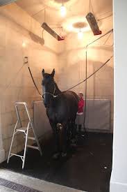 Horse Shower In The Stable With Heat Lamps Over It Stephani Nelson Nelson Nelson Nelson Nelson Lovelady Horses Horse Barns Equestrian Barns