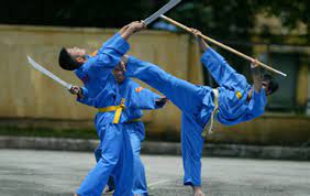 Vovinam signifie art martial vietnamien. Vovinam Viet Vo Dao Vietnam Traditional Sports