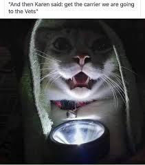 Pin By Novel Creations On Etsy On Lol Cats Karen Memes Memes Cats